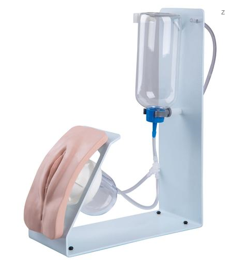 Catheterization Simulator Basic Female - 3B